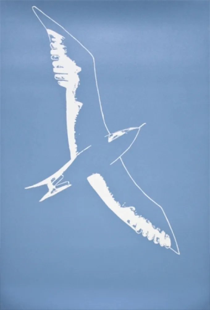 Linogravura Katz - Seagull