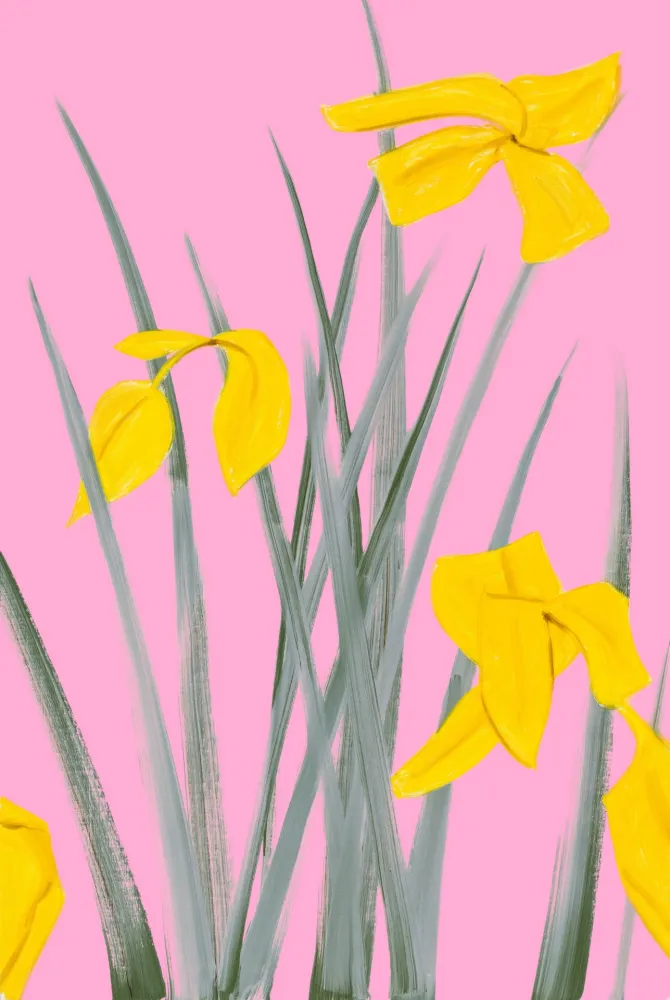 Sem Técnica Katz - Yellow Flags 3