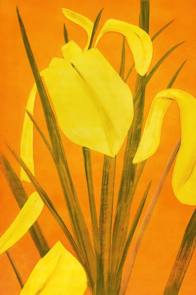 Água-Forte E Água-Tinta Katz - 