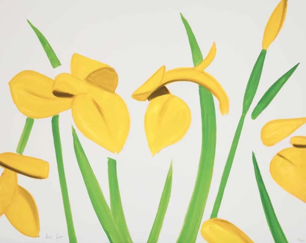 Sem Técnica Katz - Yellow Flags on White