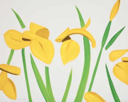 Sem Técnica Katz - Yellow Flags on White