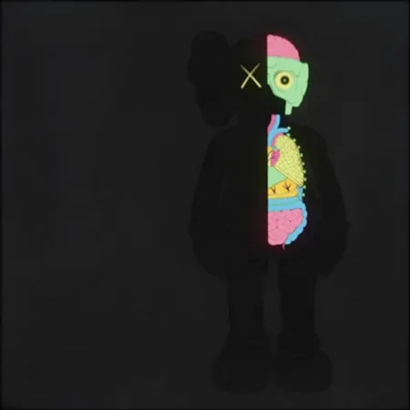 Múltiplo Kaws - Dissected Companion (Black)