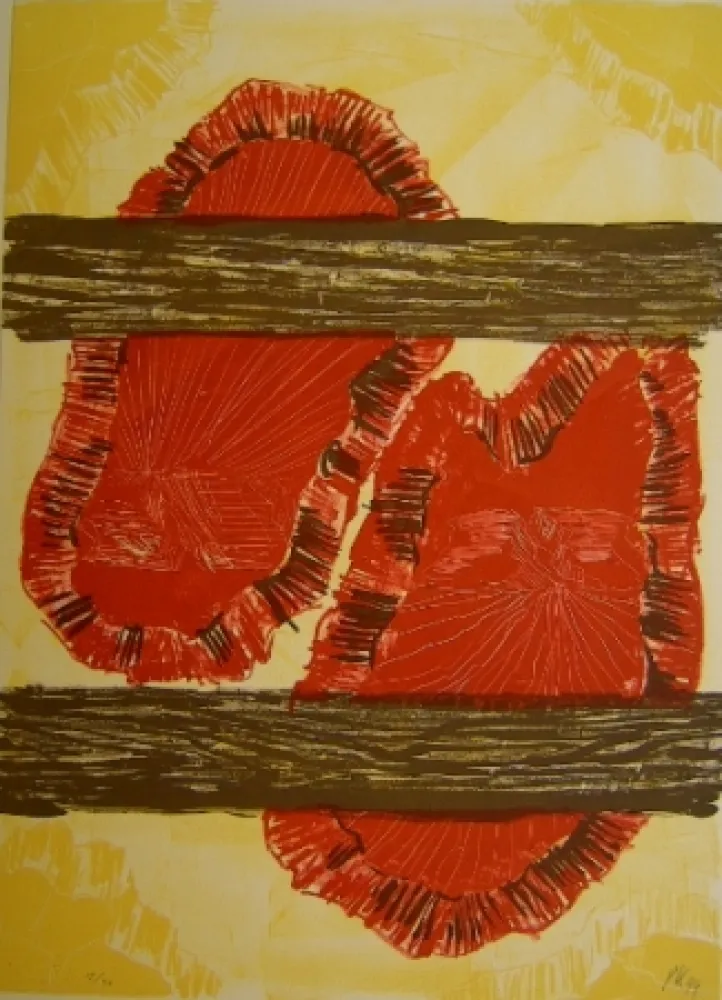 Litografia Kirkeby - Erosion 2