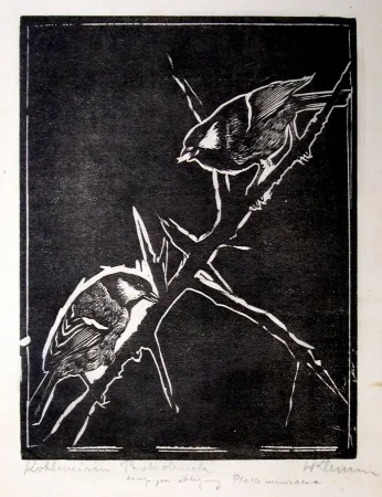 Xilogravura Klemm - Kohlmeisen (Great Tits)