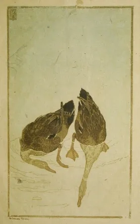 Xilogravura Klemm - Tauchende Enten (Diving Ducks)