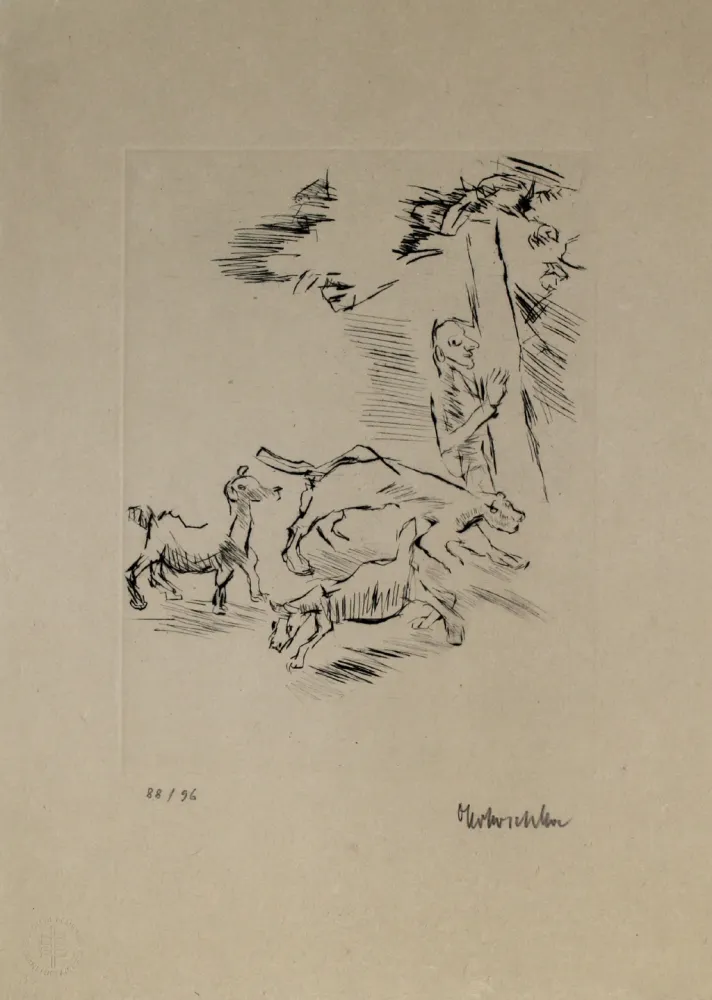 Gravura Kokoschka - Der Beobachter