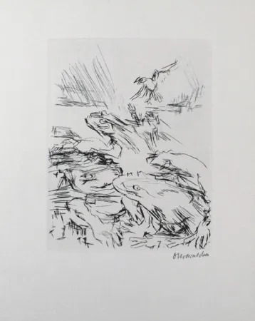 Ponta-Seca Kokoschka - Die Frösche / The Frogs