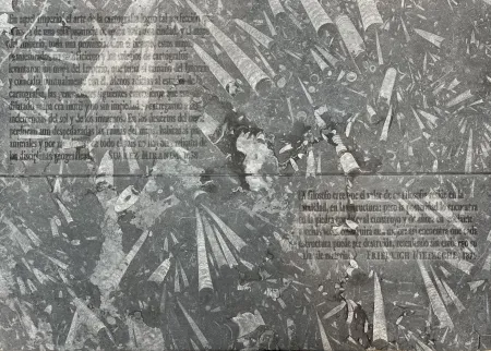 Água-Forte Kosuth - El mapa de Miranda y la disciplina de Nietzsche