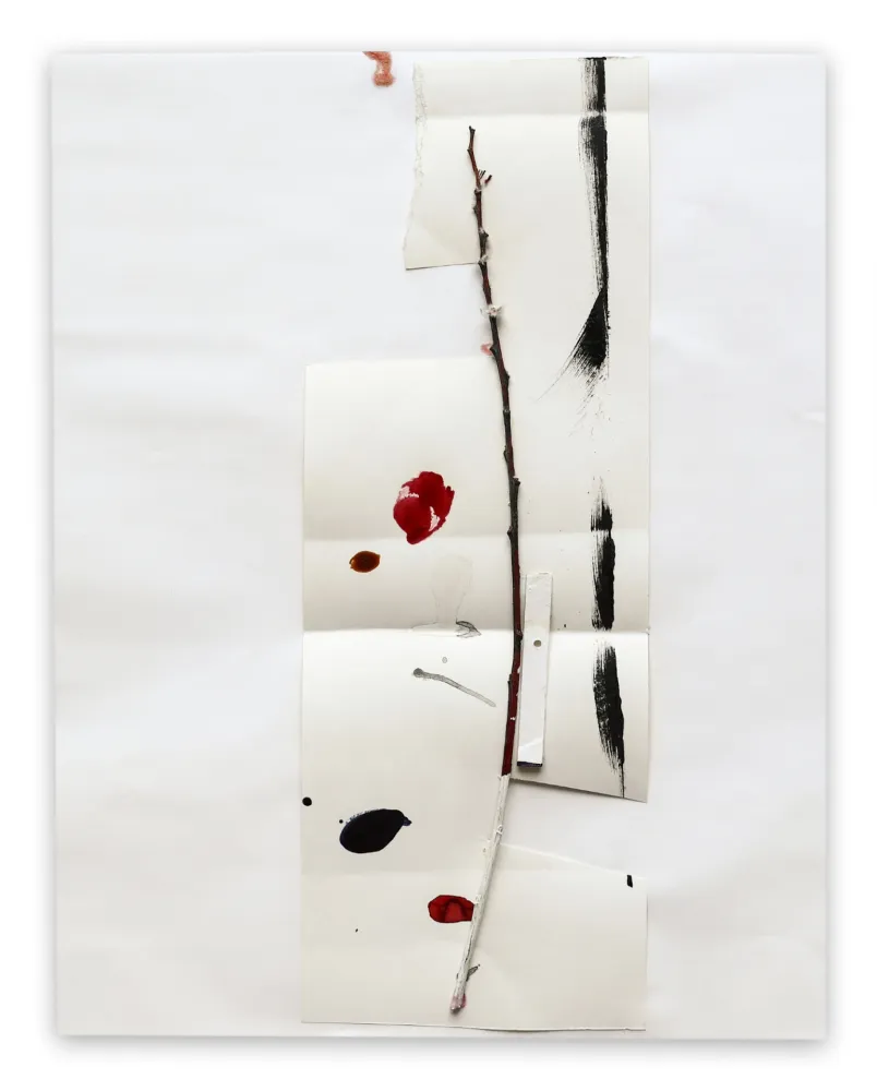 Sem Técnica Kroner - K2003