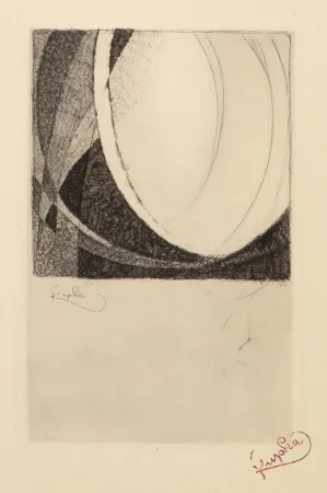 Gravura Kupka - Amorpha