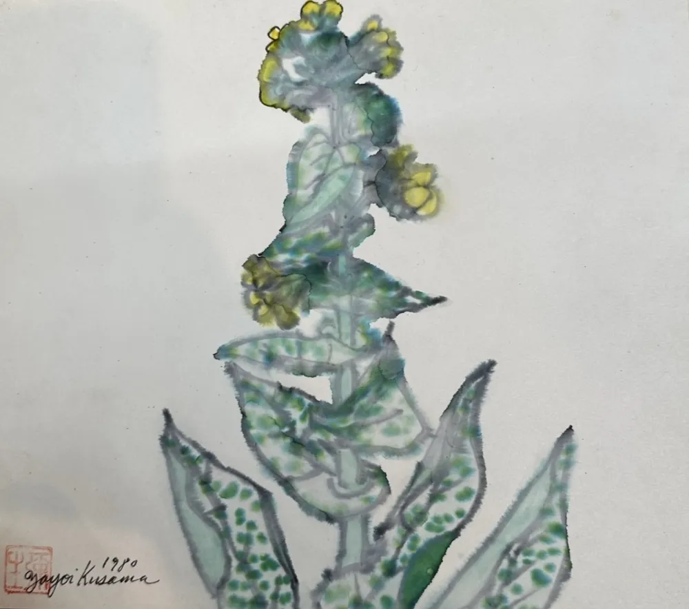 Sem Técnica Kusama - Rape blossoms