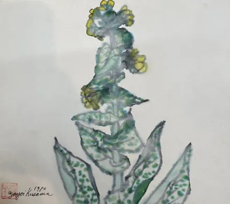 Sem Técnica Kusama - Rape blossoms