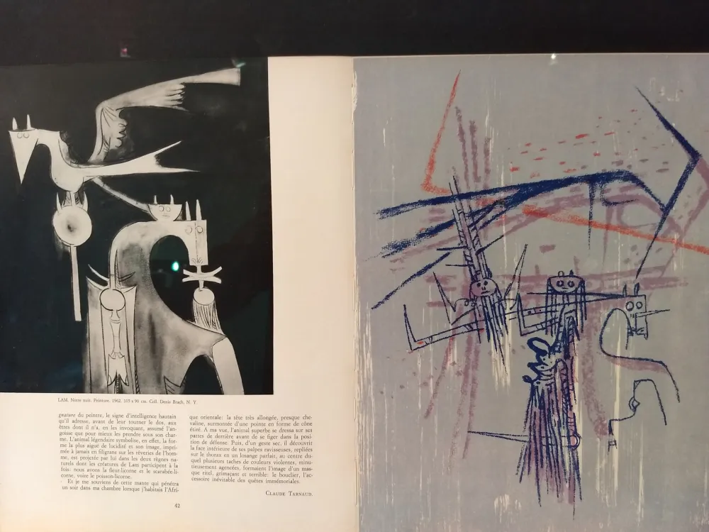 Livro Ilustrado Lam - Xxe No 21