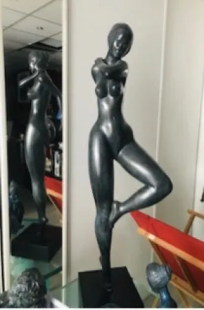 Sem Técnica Laniau - Hirondelle