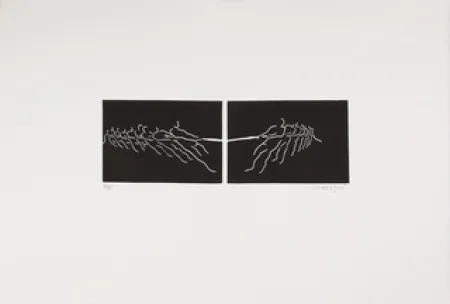 Linogravura Larregui - TIR A LA CORDE