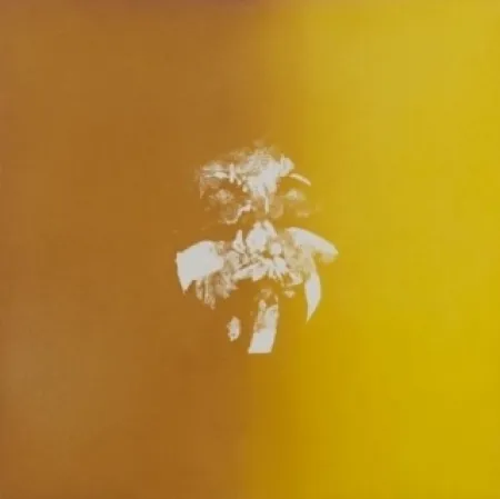 Água-Tinta Le Brocquy - Jaune