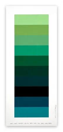 Sem Técnica Lee - Emotional Color Chart 110