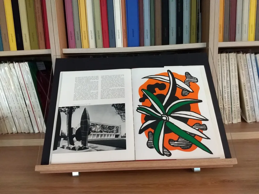 Livro Ilustrado Leger - Hommage