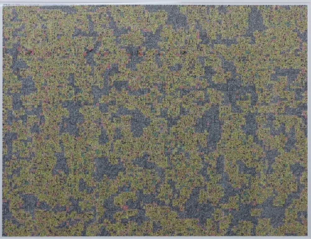 Gravura Digital Leherpeur - Compression ADS 2