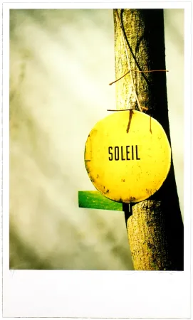 Gravura Digital Leick - Greffes et greffons, II