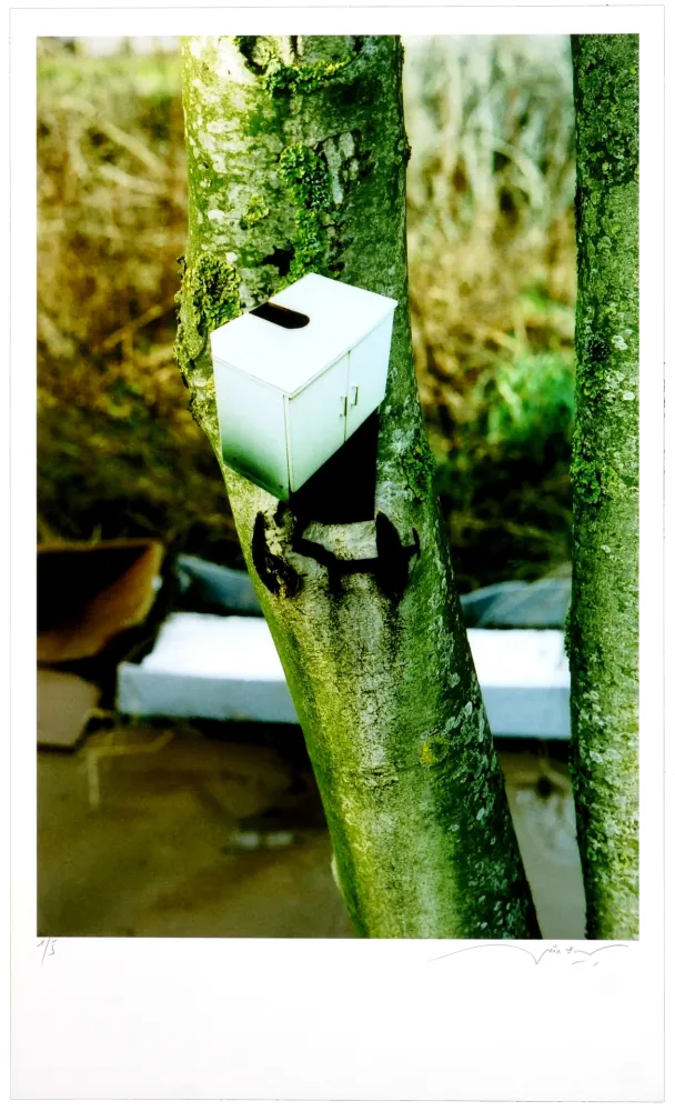 Gravura Digital Leick - Greffes et greffons III