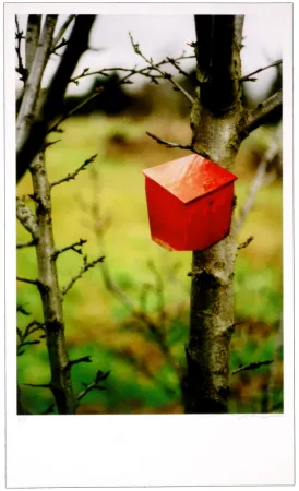 Gravura Digital Leick - Greffes et greffons IV