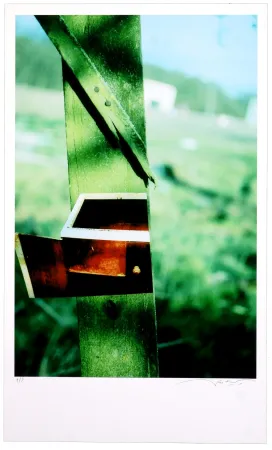 Gravura Digital Leick - Greffes et greffons VI