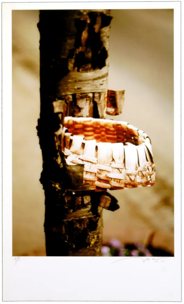 Gravura Digital Leick - Greffes et greffons VIII