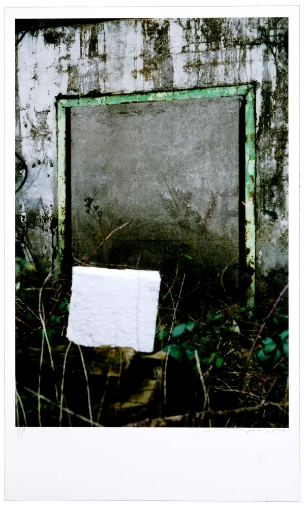 Gravura Digital Leick - Greffes et greffons VIII