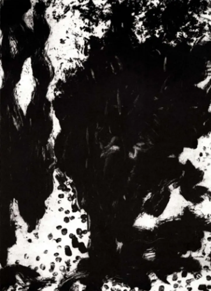 Gravura León - Luz de luna II