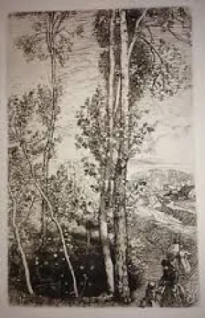 Gravura Lepere - La petite mare