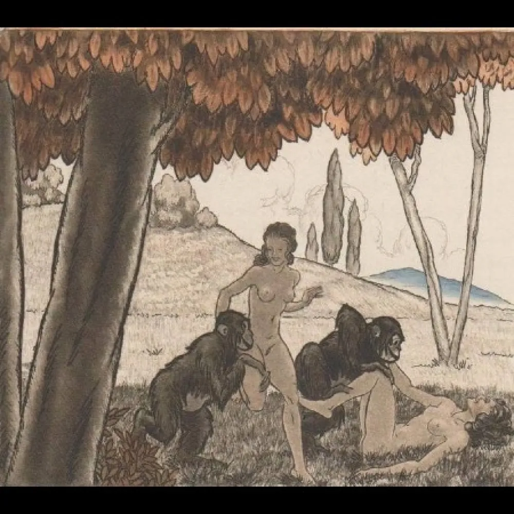 Livro Ilustrado Leroy  - Candide, ou l'optimisme