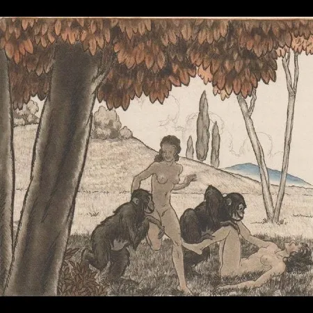 Livro Ilustrado Leroy  - Candide, ou l'optimisme