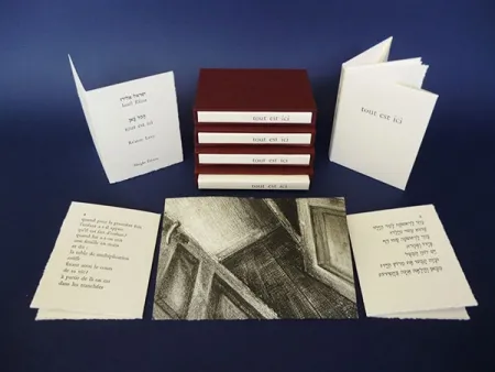 Livro Ilustrado Levy - Tout est ici