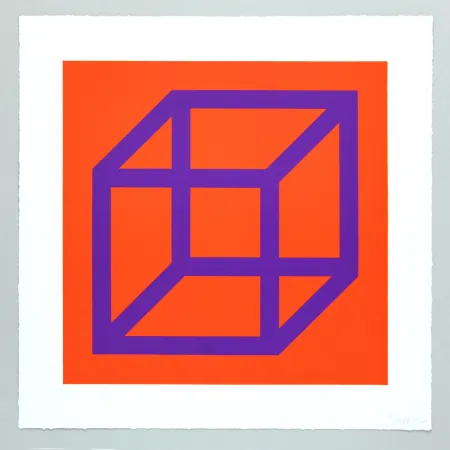 Sem Técnica Lewitt - Open Cube in Color on Color Plate 29