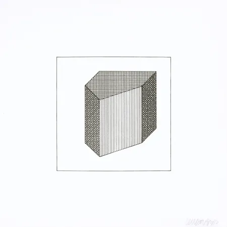 Serigrafia Lewitt - Twelve Forms Derived From a Cube 32