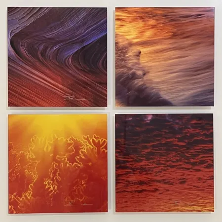 Fotografia Lik - The Sound & Fury