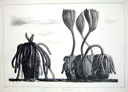 Litografia Lionni - Betula tormens