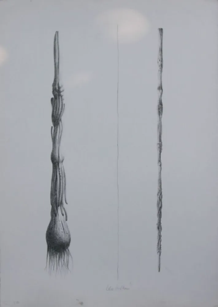 Litografia Lionni - Due Solee