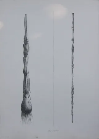 Litografia Lionni - Due Solee