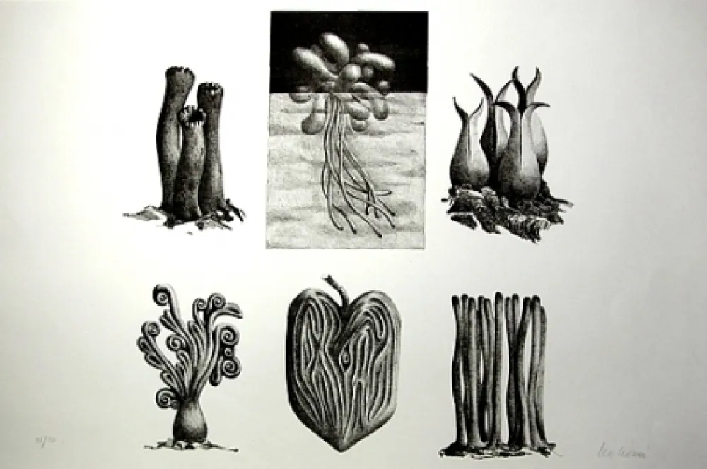 Litografia Lionni - Senza titolo