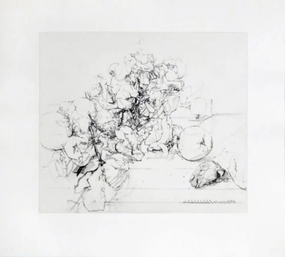 Água-Forte E Água-Tinta López Garcia - Membrillos, granadas y cabeza de conejo