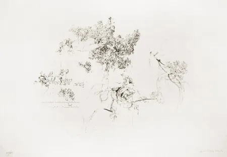 Litografia López Garcia - Olympic Centennial