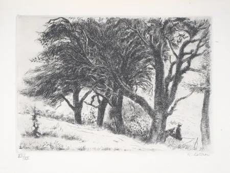 Gravura Lotiron - Normandie, les poiriers