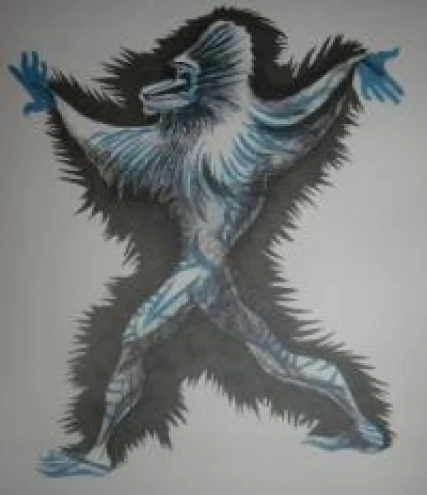 Livro Ilustrado Lurcat - Géographie animale