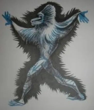 Livro Ilustrado Lurcat - Géographie animale