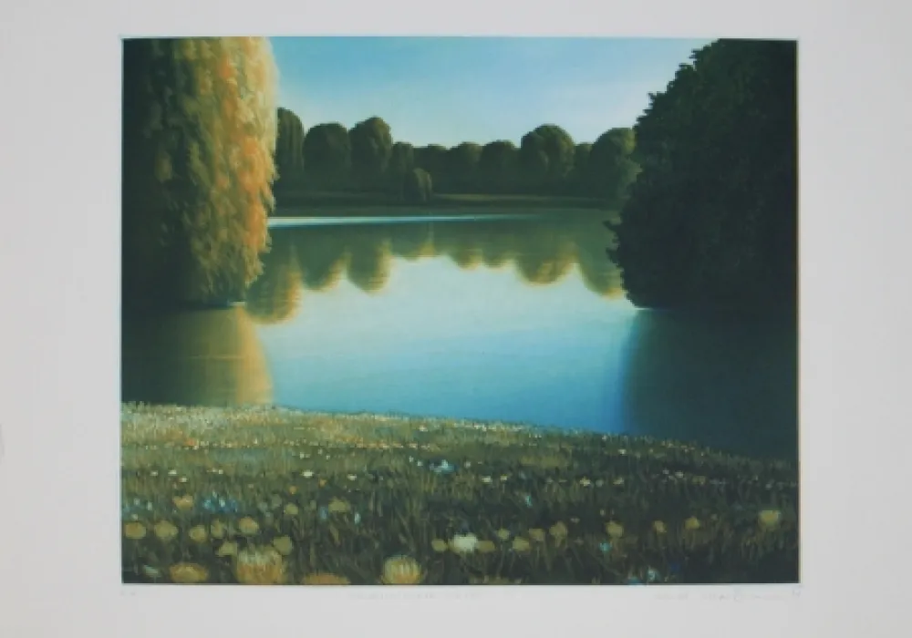 Água-Forte E Água-Tinta Maibaum - Genesis:  Wiese