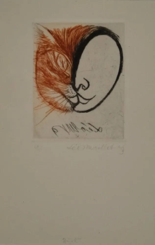 Livro Ilustrado Maillet - Léo Maillet Peintre-Graveur