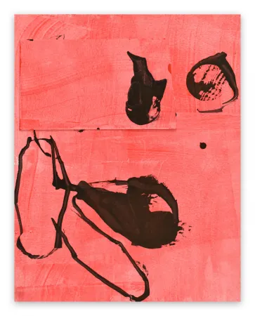 Sem Técnica Maine - Frankly Scarlet 2