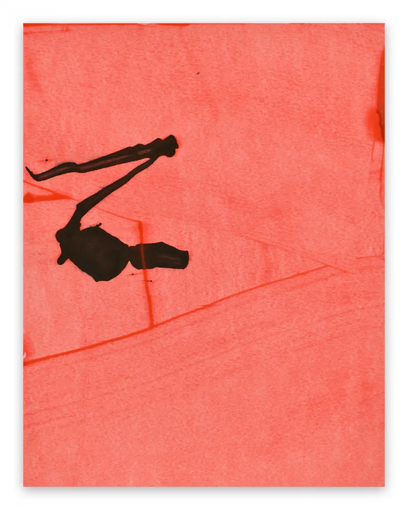 Sem Técnica Maine - Frankly Scarlet 30